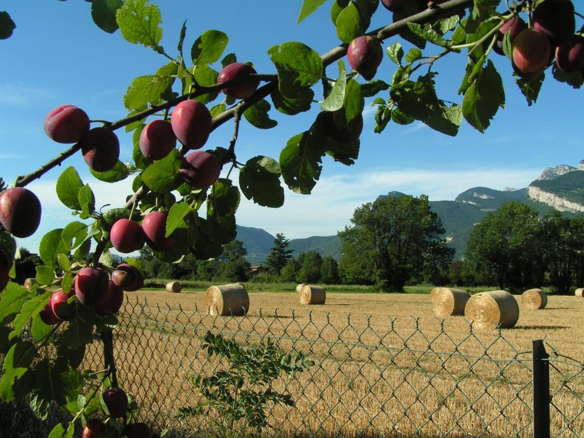 Les Champs Dores Noyarey Luaran gambar